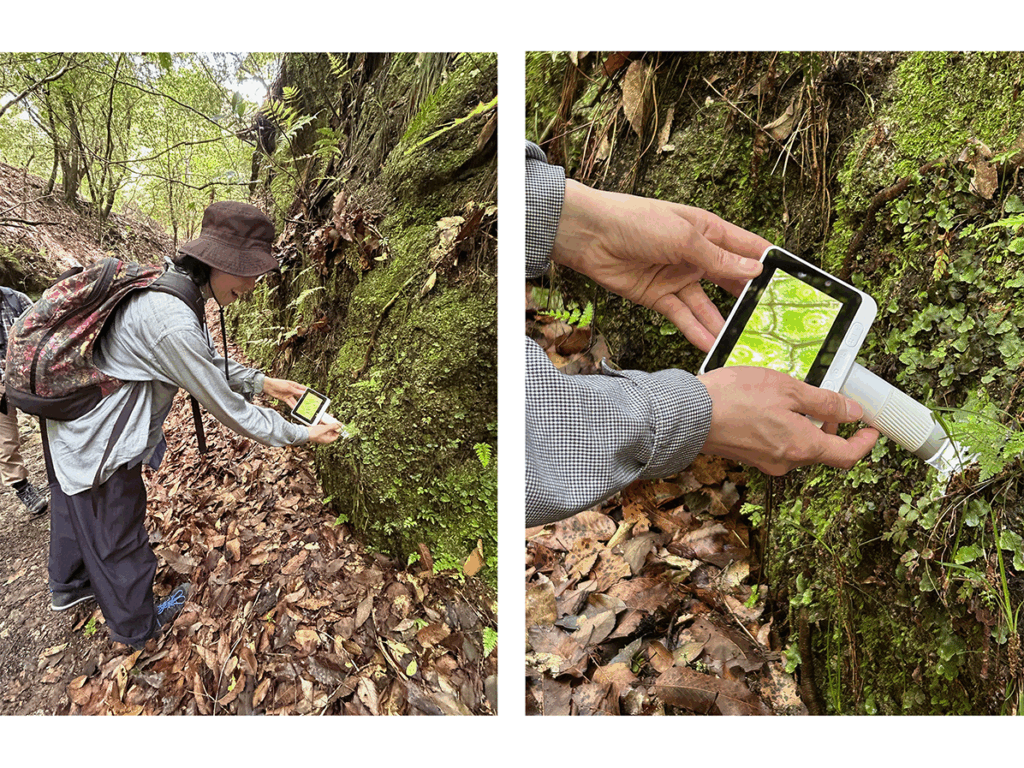 電子ルーペで小さな苔の表面も見ることができました