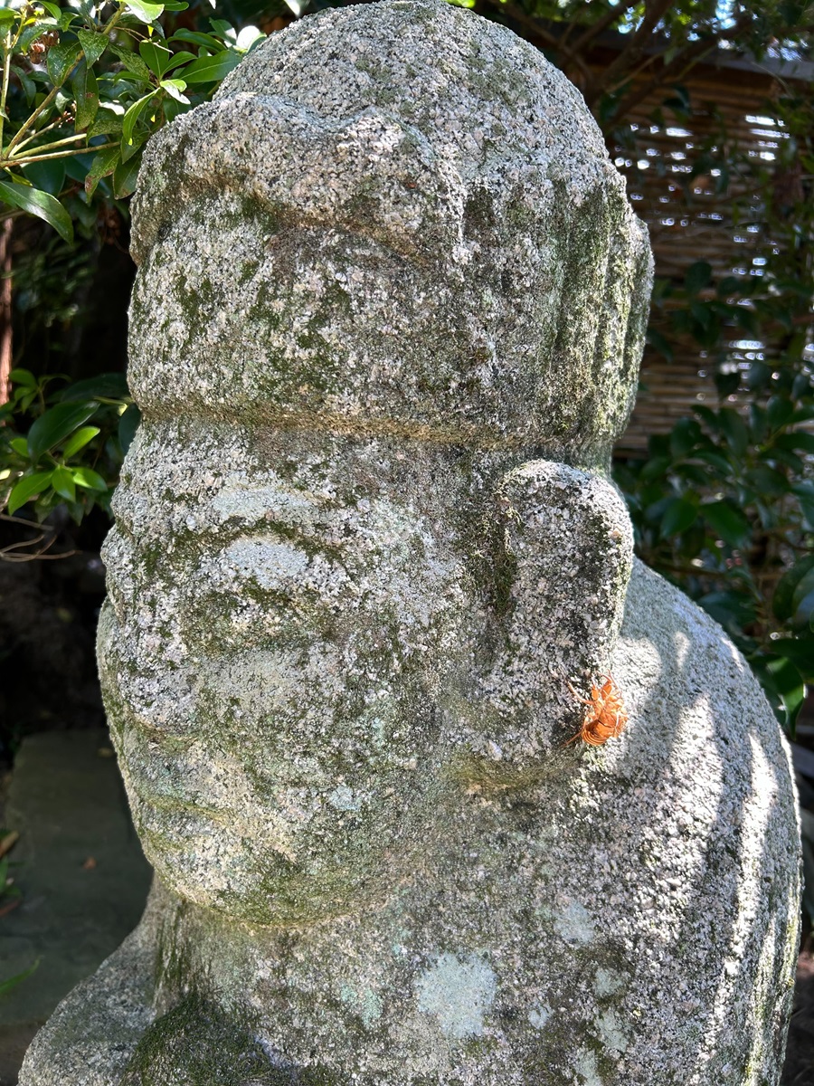 石造の頭部